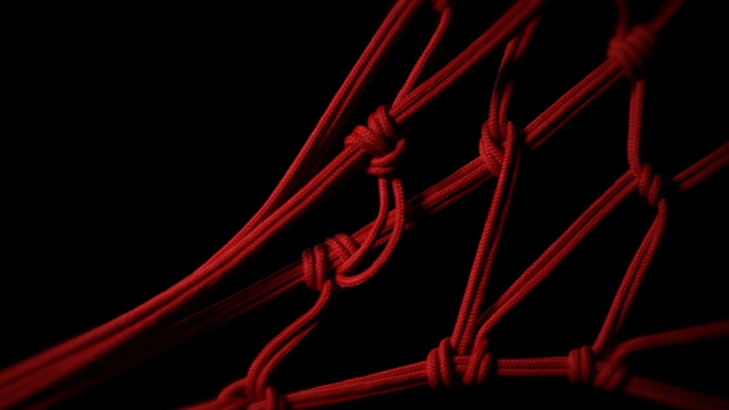 Symbiogenesis — Fungi Shibari performance, mycelial bodies — shibari performance by MAVRA (Luiza Jesus do Prado), photo 27
