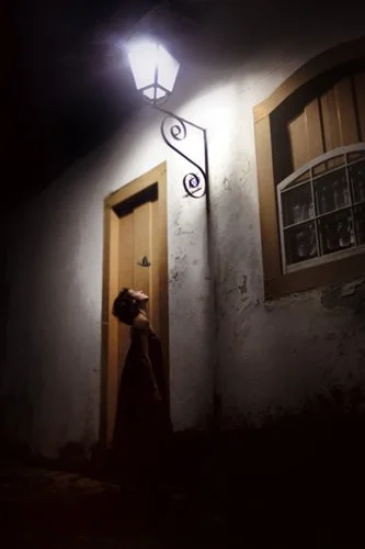 A Flor luiza prado.jpg