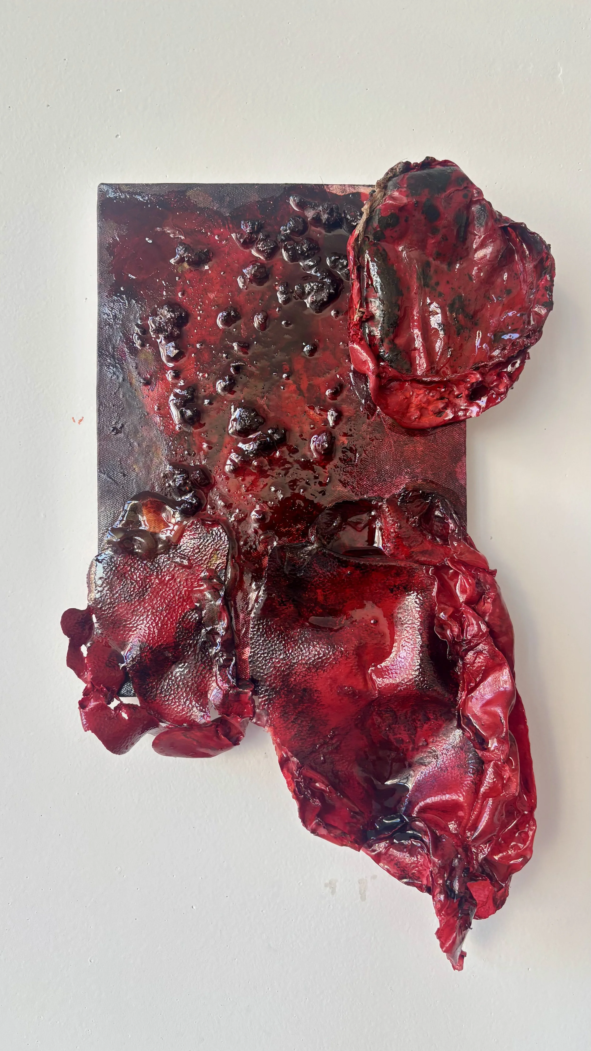 Abstract art piece with red, black, and glossy textures resembling melted plastic or organic material.