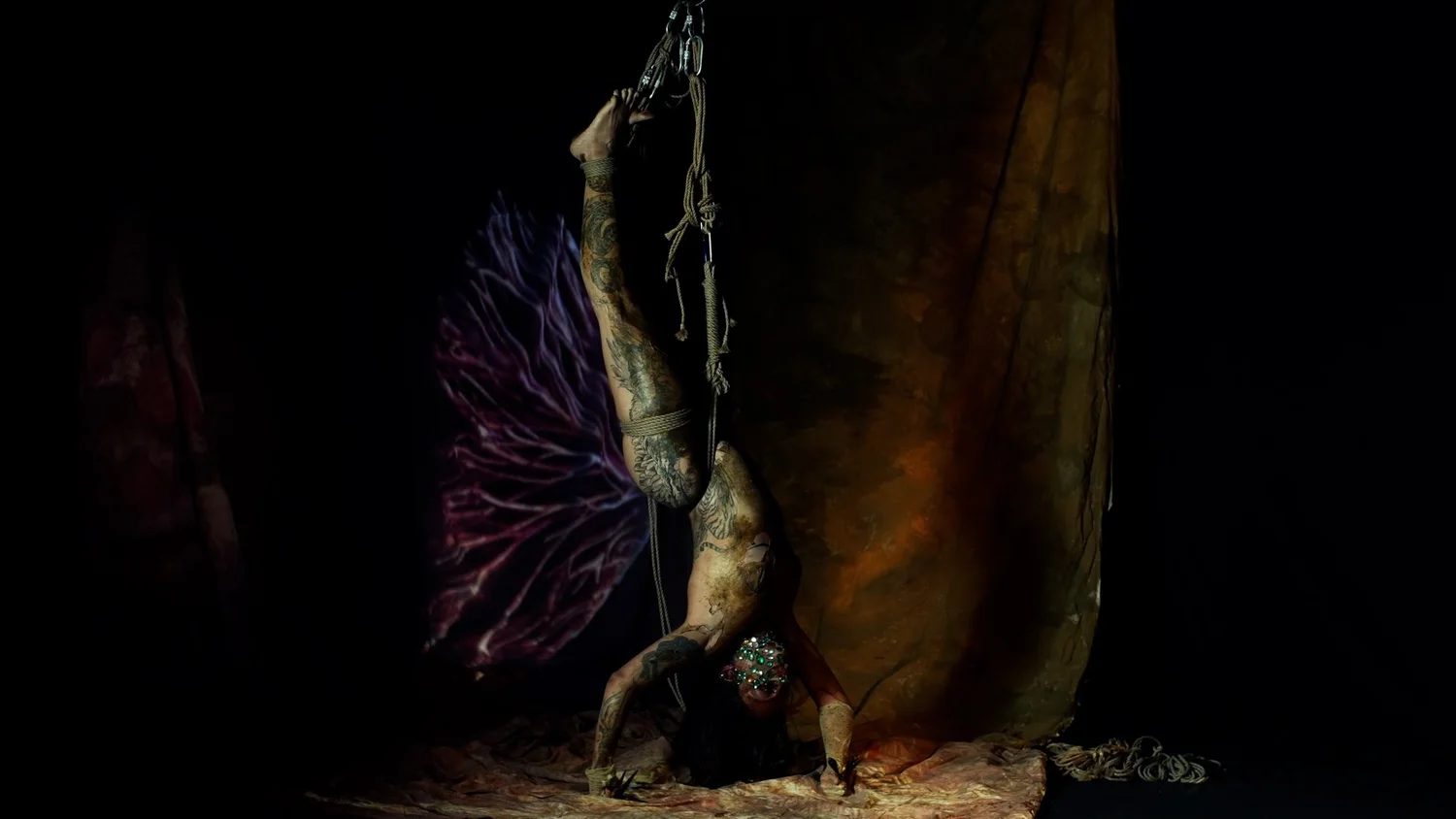 Symbiogenesis — Animalia Shibari performance, animal kingdom — shibari performance by MAVRA (Luiza Jesus do Prado), photo 18