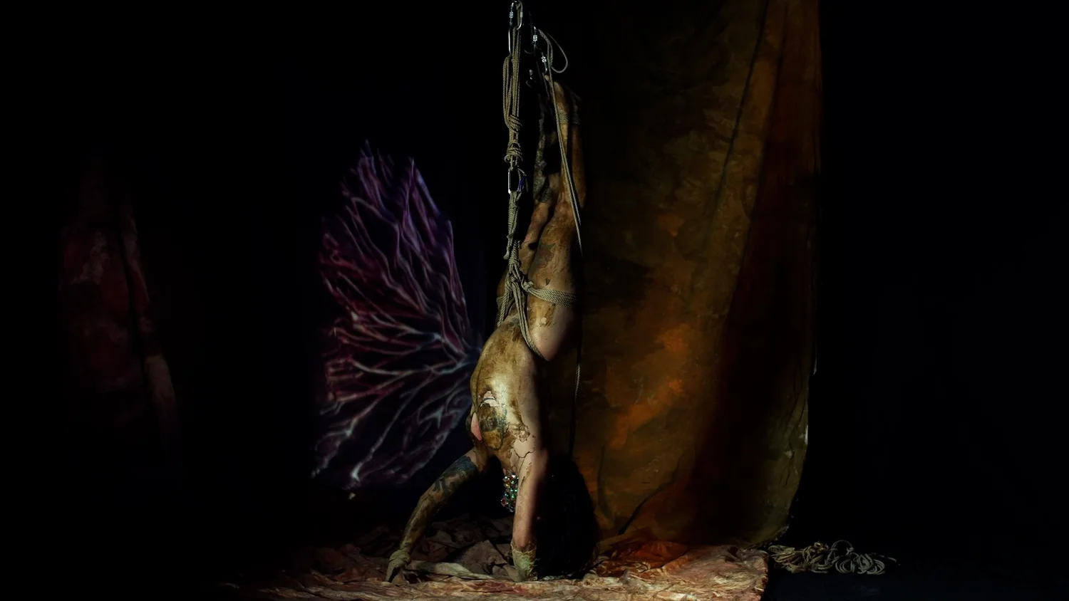 Symbiogenesis — Animalia Shibari performance, animal kingdom — shibari performance by MAVRA (Luiza Jesus do Prado), photo 23