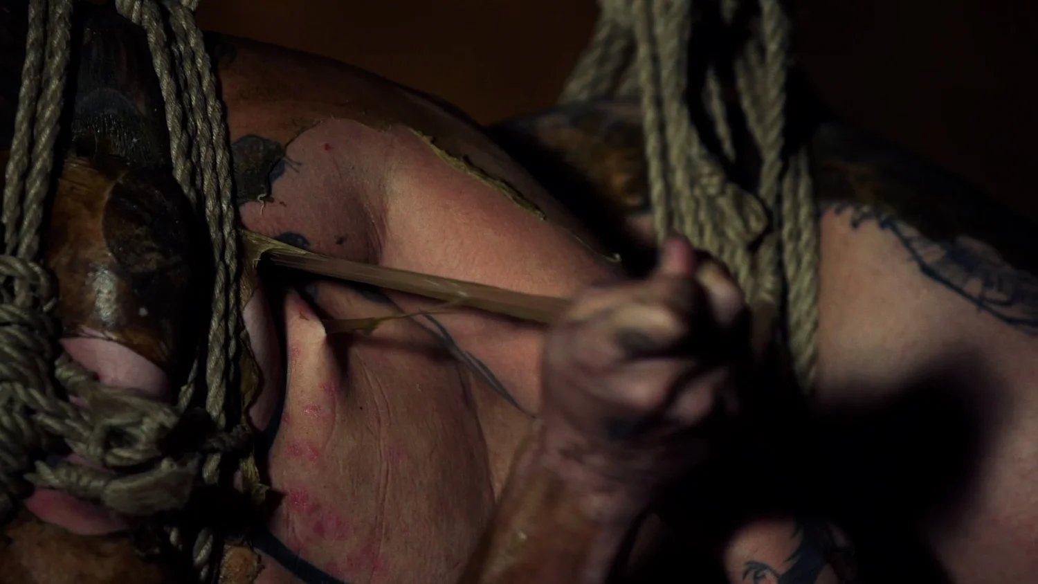 Symbiogenesis — Animalia Shibari performance, animal kingdom — shibari performance by MAVRA (Luiza Jesus do Prado), photo 11