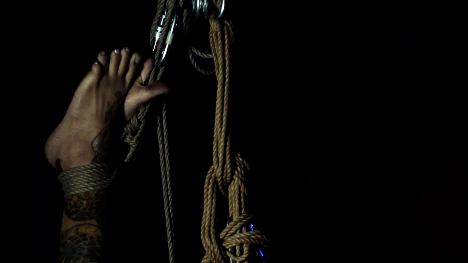 Symbiogenesis — Animalia Shibari performance, animal kingdom — shibari performance by MAVRA (Luiza Jesus do Prado), photo 8