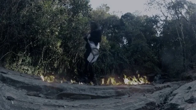 Person standing on rocky terrain near trees and bushes