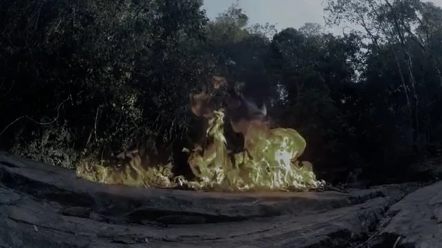 Explosion in a forested area with flames and smoke.