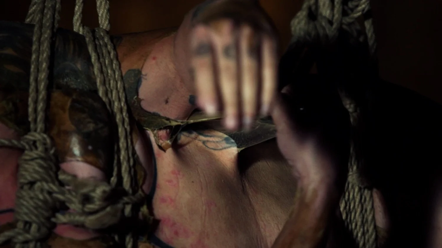 Symbiogenesis — Animalia Shibari performance, animal kingdom — shibari performance by MAVRA (Luiza Jesus do Prado), photo 12