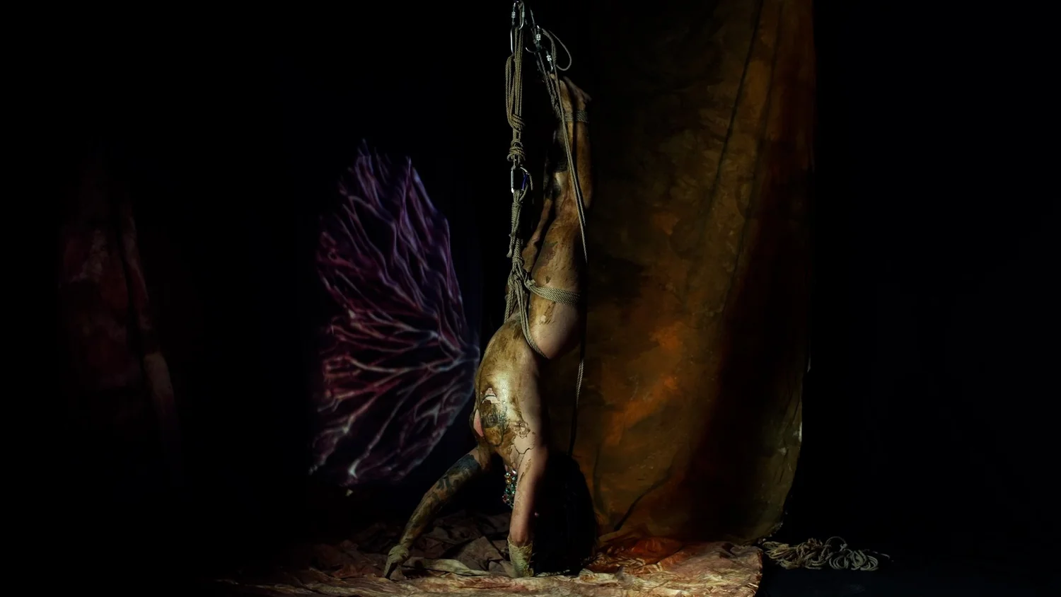 Symbiogenesis — Animalia Shibari performance, animal kingdom — shibari performance by MAVRA (Luiza Jesus do Prado), photo 2