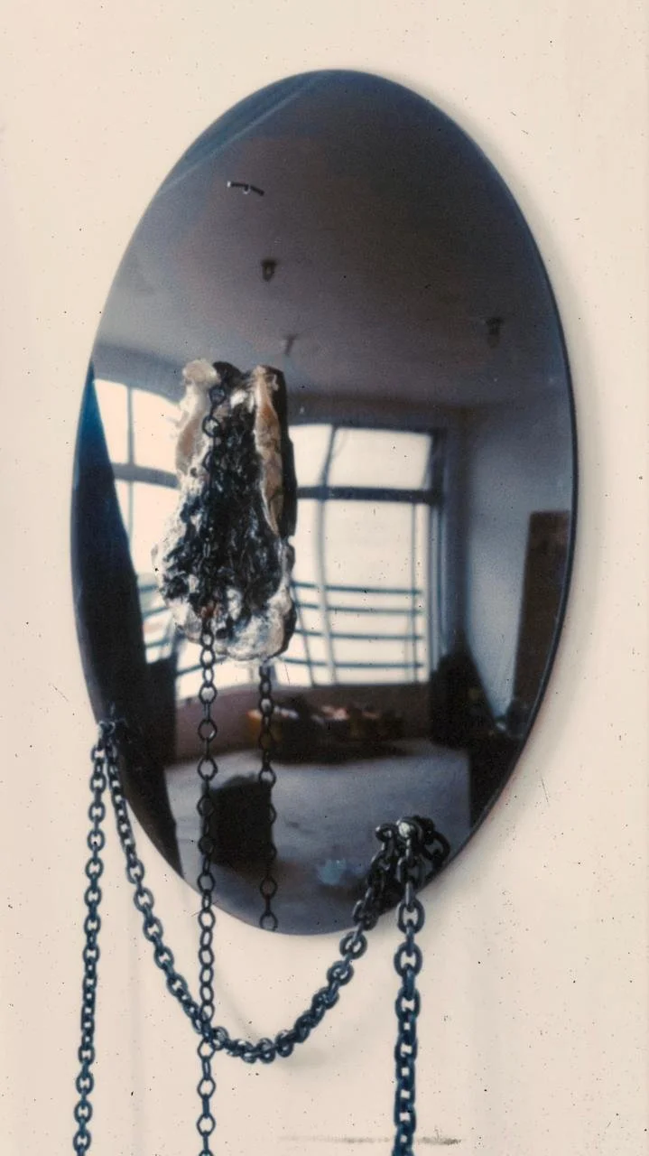 WhatsApp Image 2026-02-11 at 14.04.48 (1).jpeg