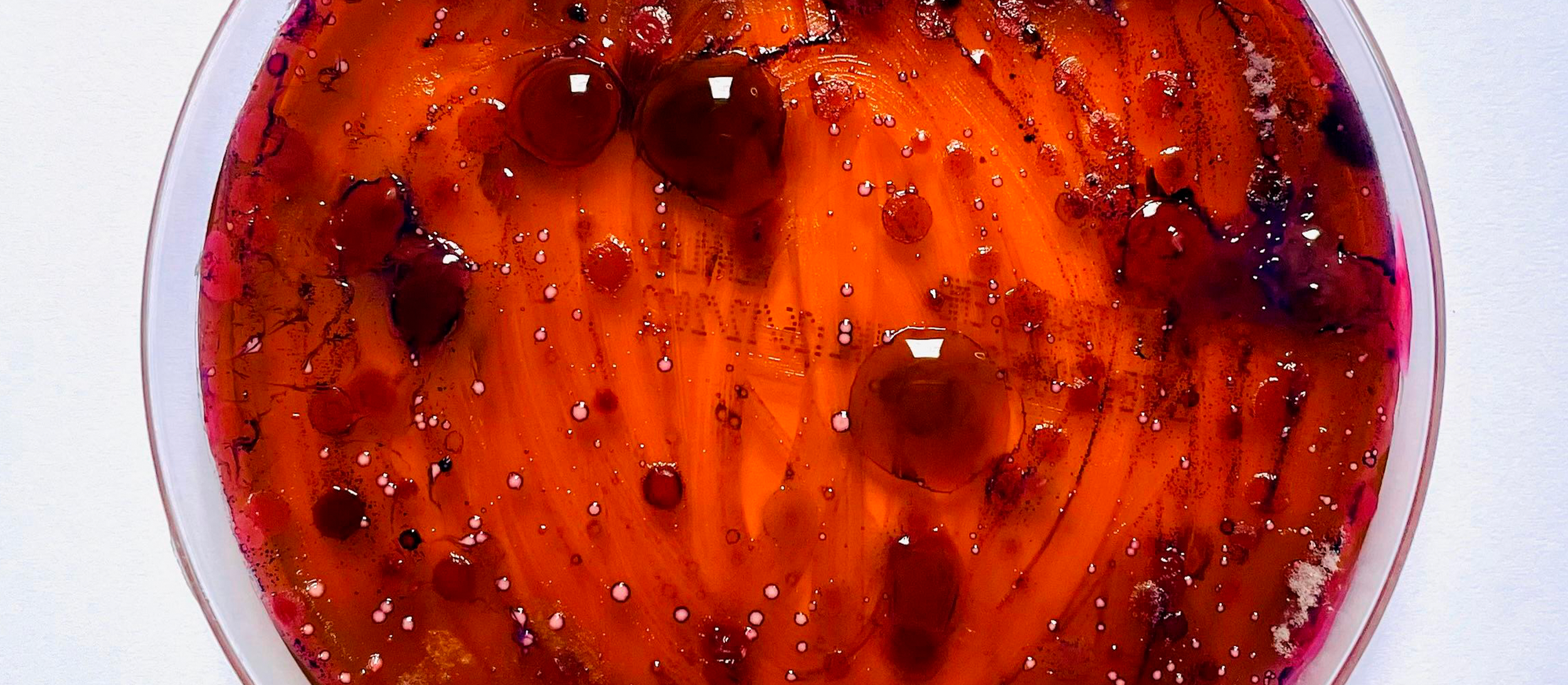 Close-up of a red and orange slime toy with sparkles, bubbles, and small dark and pinkish-red solid pieces inside, seen from above in a clear container.