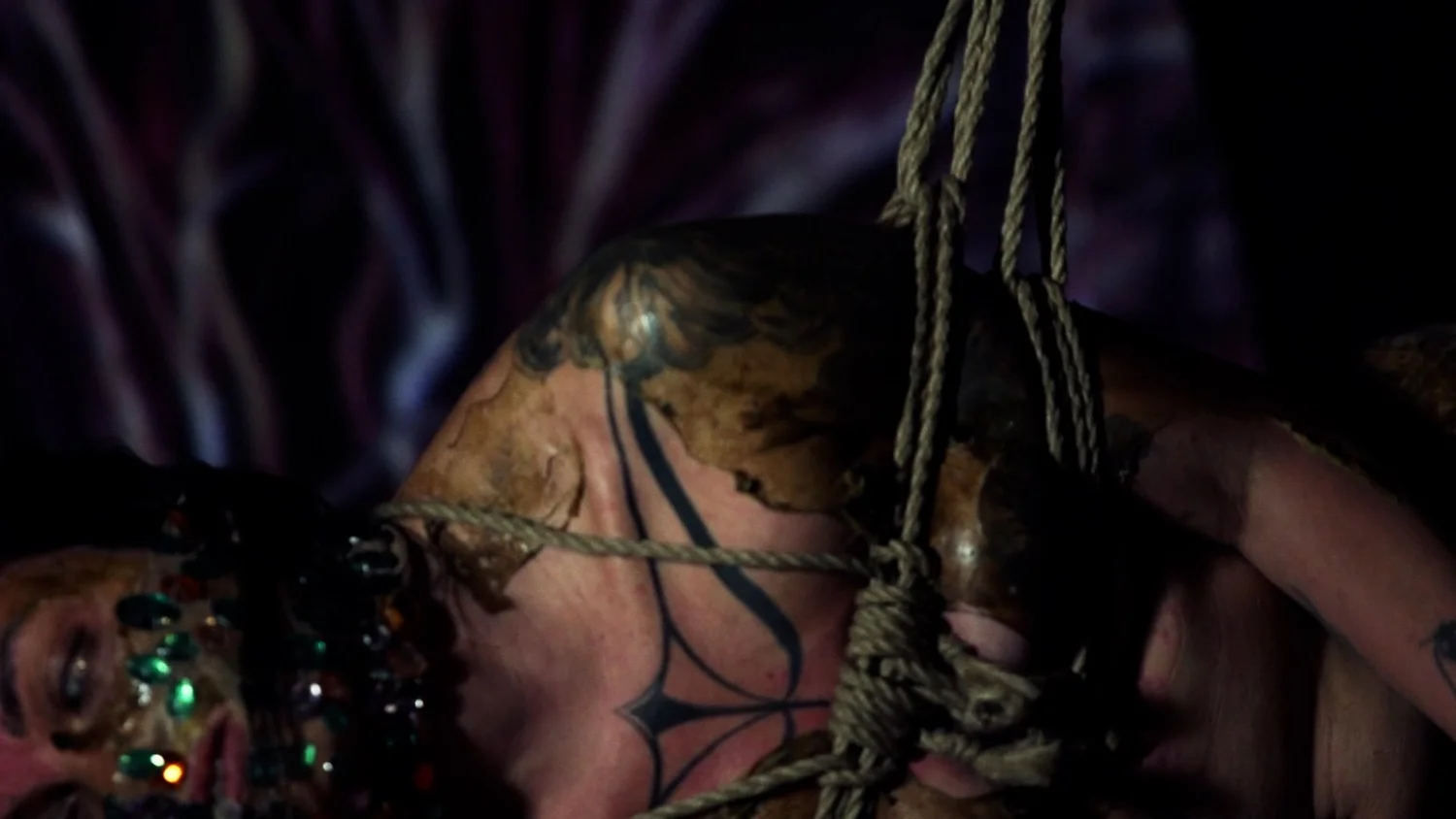 Symbiogenesis — Animalia Shibari performance, animal kingdom — shibari performance by MAVRA (Luiza Jesus do Prado), photo 16