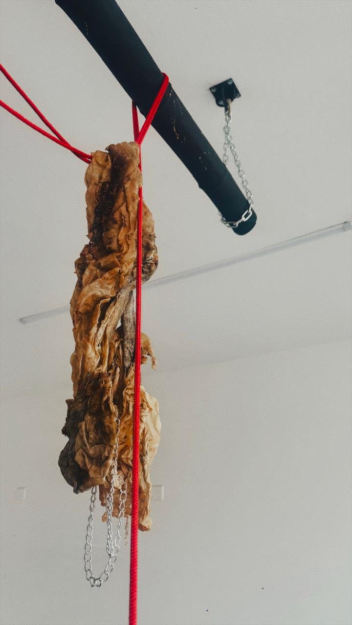 WhatsApp Image 2025-12-31 at 11.00.25.jpeg