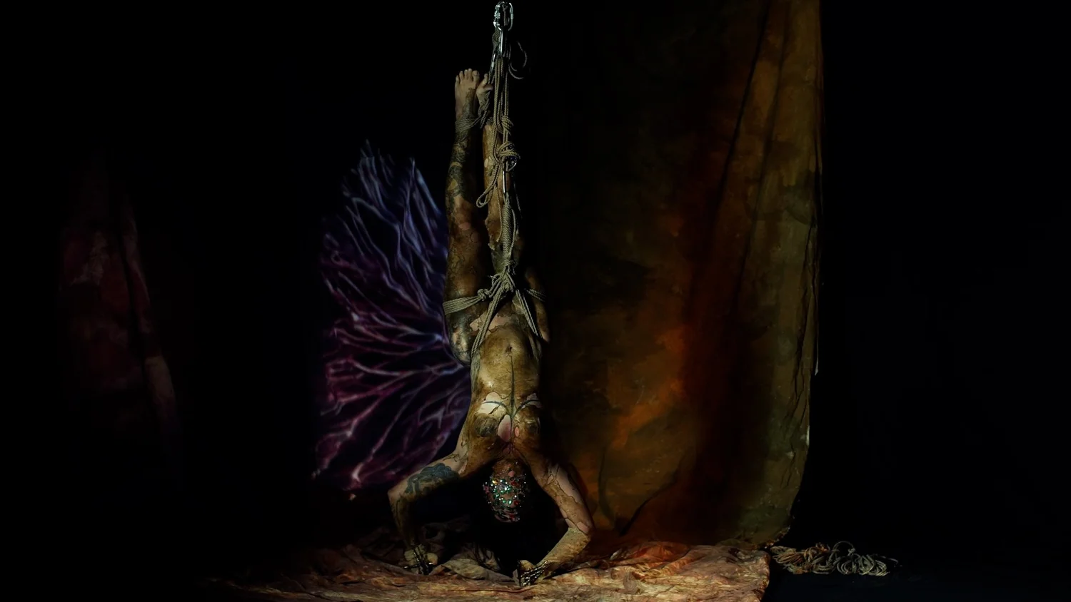 Symbiogenesis — Animalia Shibari performance, animal kingdom — shibari performance by MAVRA (Luiza Jesus do Prado), photo 10