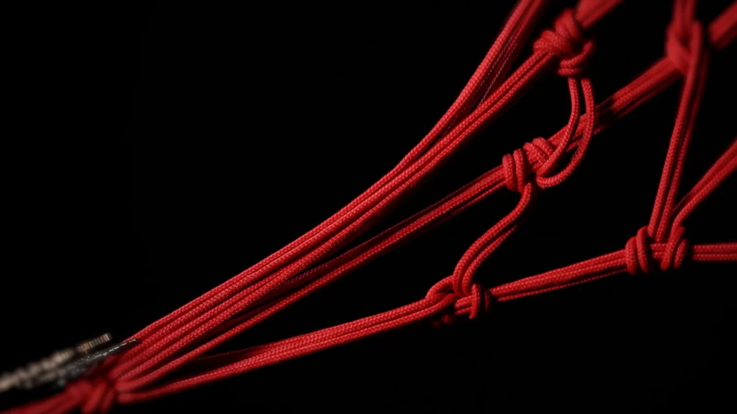 Symbiogenesis — Fungi Shibari performance, mycelial bodies — shibari performance by MAVRA (Luiza Jesus do Prado), photo 13