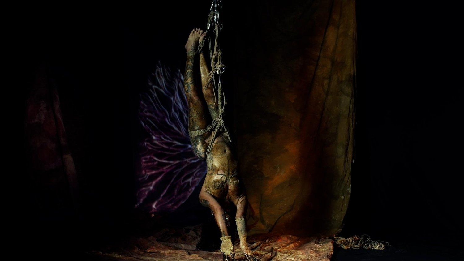 Symbiogenesis — Animalia Shibari performance, animal kingdom — shibari performance by MAVRA (Luiza Jesus do Prado), photo 24