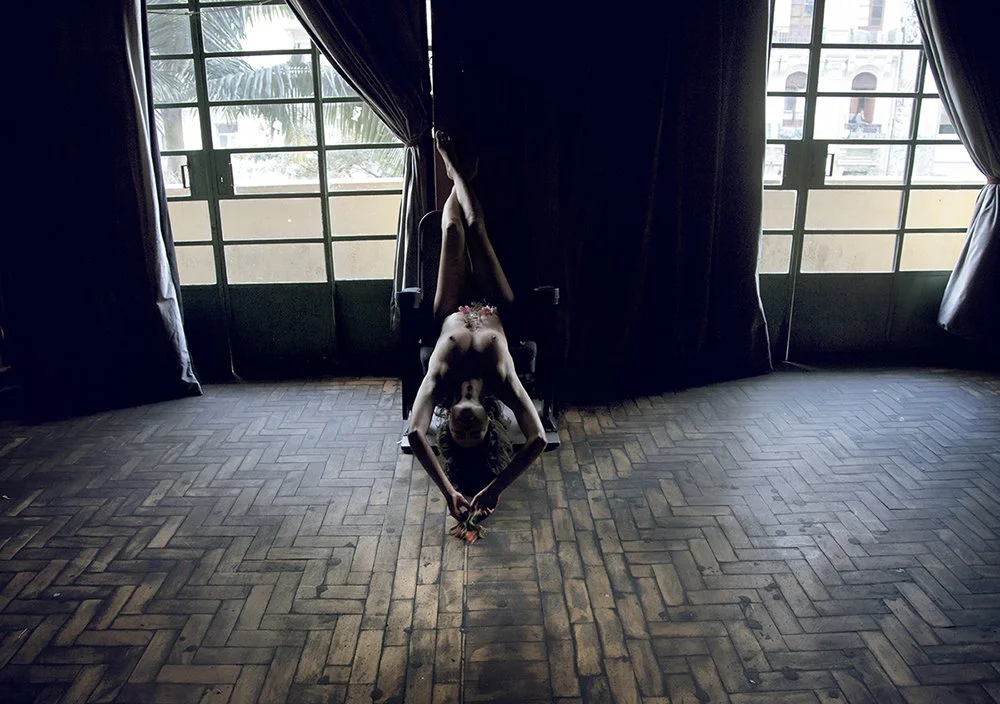 a flor 1 luiza prado.jpg