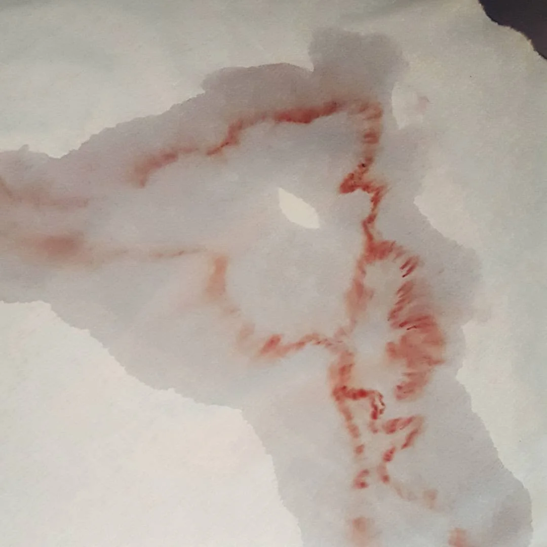 hifa cybe resistencia.jpg