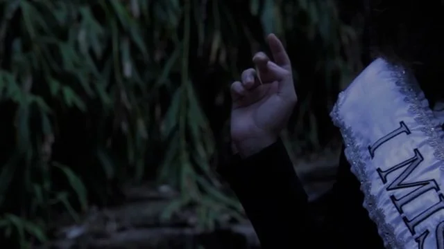 Close-up of a hand with a peace sign gesture, partially visible person wearing a sash, outdoor setting with greenery in the background.