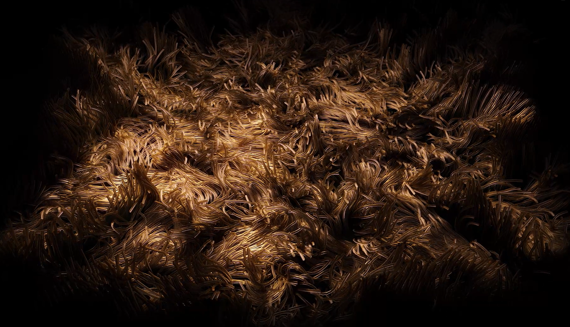 Close-up of a textured surface with tangled, light brown fibers illuminated by a warm light source in darkness.
