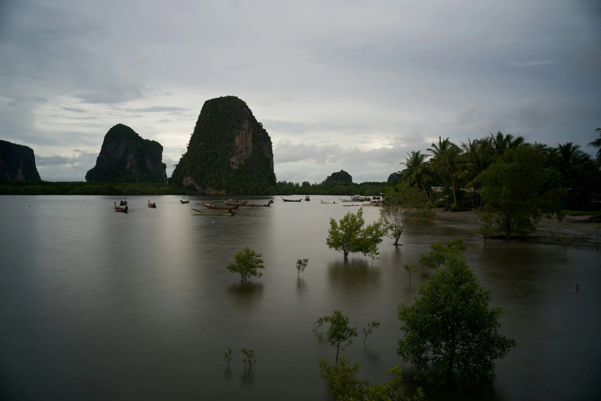 The Migratory Superhighway of Southeast Asia: Why Wetlands, Mangroves, and Peatlands Matter to the Planet