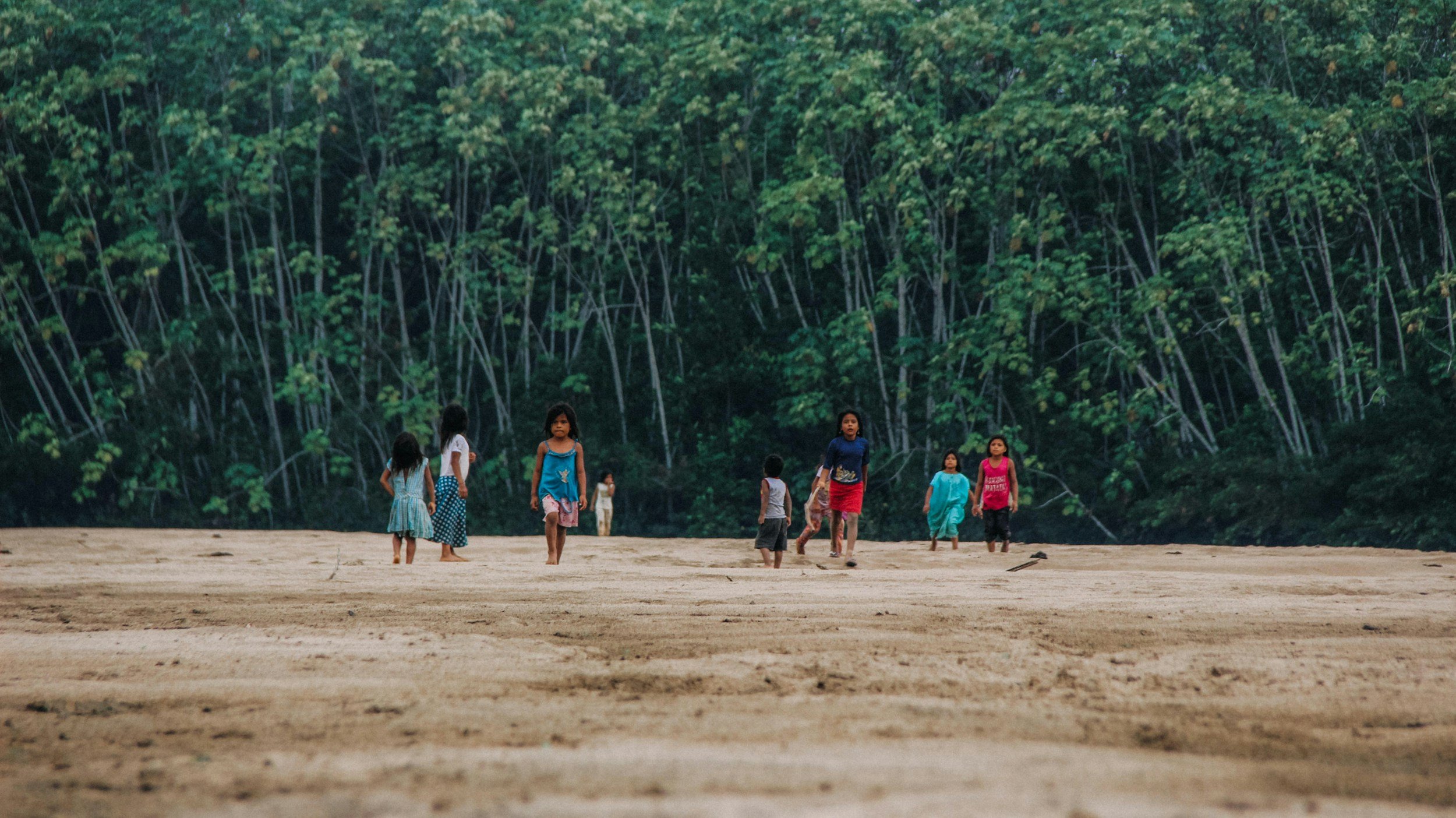 The Amazon Rainforest and Indigenous Peoples: Why Protecting Indigenous Rights May Be the Key to Saving the Amazon