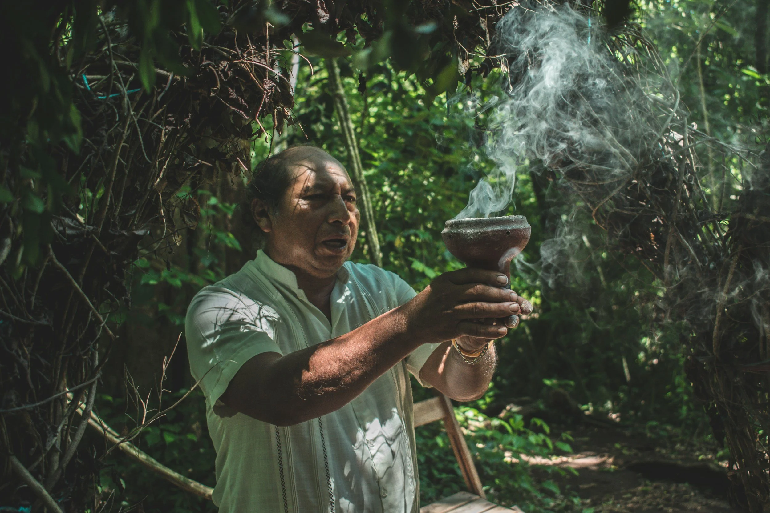 Indigenous Views of Nature: What Modern Society Can Learn from Indigenous Relationships with the Earth