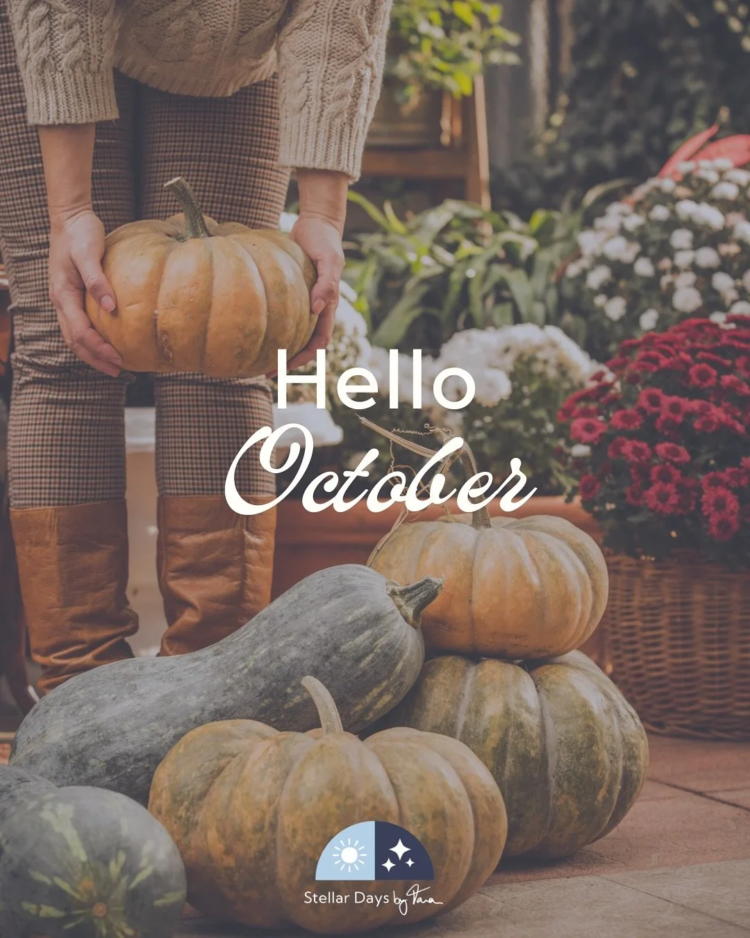 Spooky season! 🎃 The most socially acceptable time of year to eat candy as a meal and for booking that impulse trip to Scotland ✨for the vibes✨. Dibs on the Kit Kats, btw. 👀

If your mental load is ranging from helping your kids pick out Halloween 