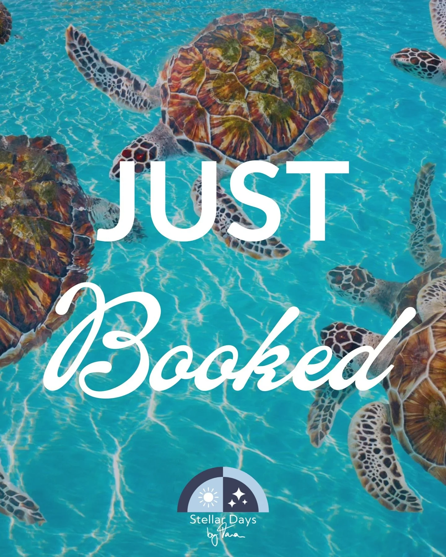 Cruising in January? Sounds like a dream! 🛳️

My clients wanted a &ldquo;turn brain off&rdquo; kind of trip, and Virgin Voyages absolutely fits the bill. Top notch drinks, gourmet meals, and every bit of glamor around every corner. ✨ Did you know yo