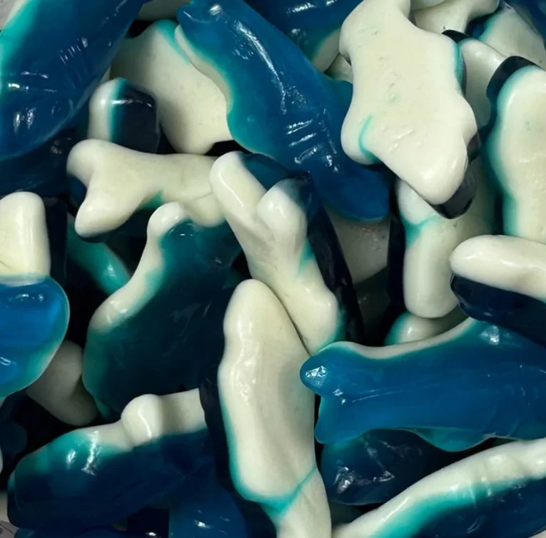 Jovy Blue & White Gummy Sharks – 5lb Bag