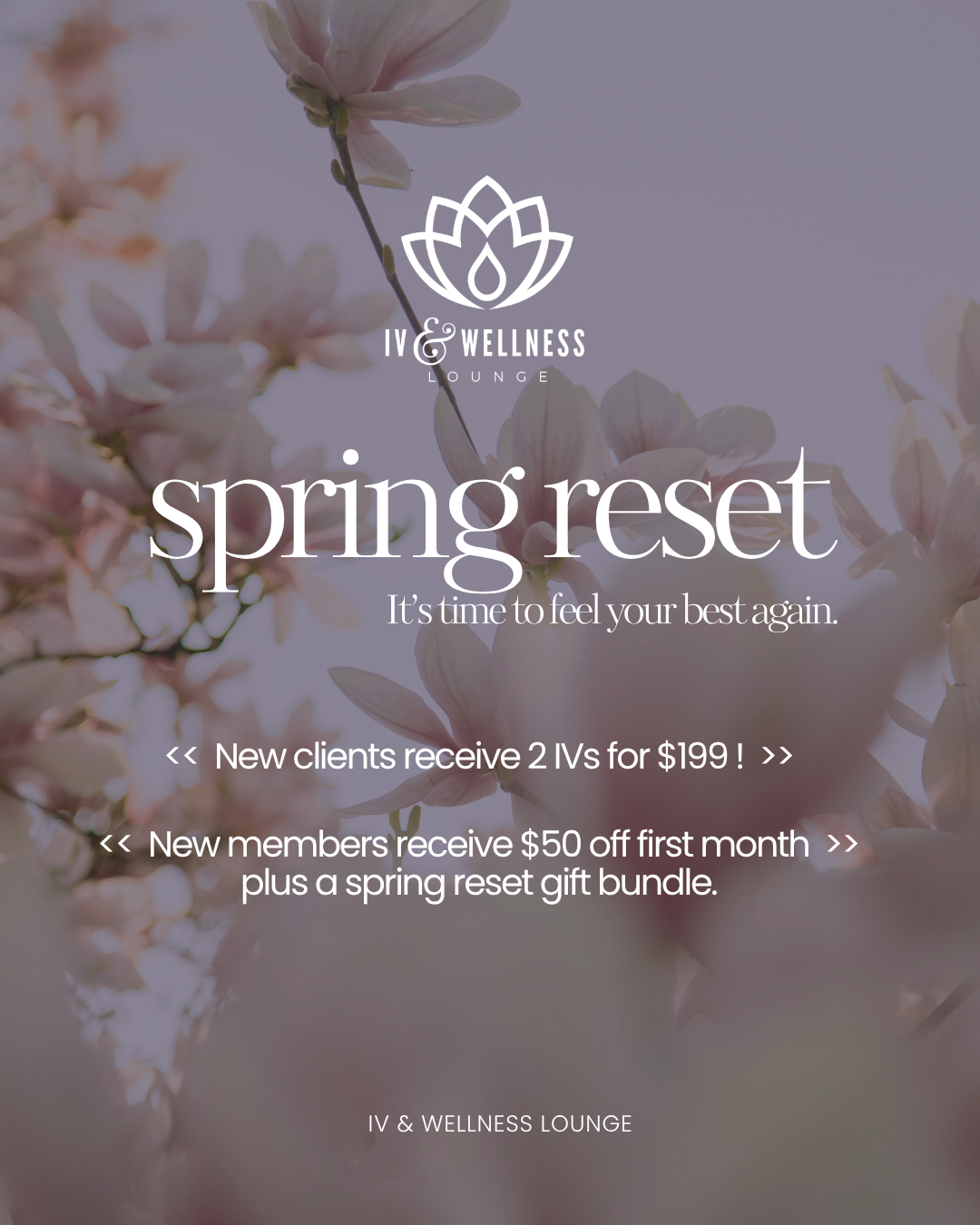 Spring promotion for IV therapy at IV & Wellness Lounge featuring cherry blossom background with logo, text about offers for new clients and members.