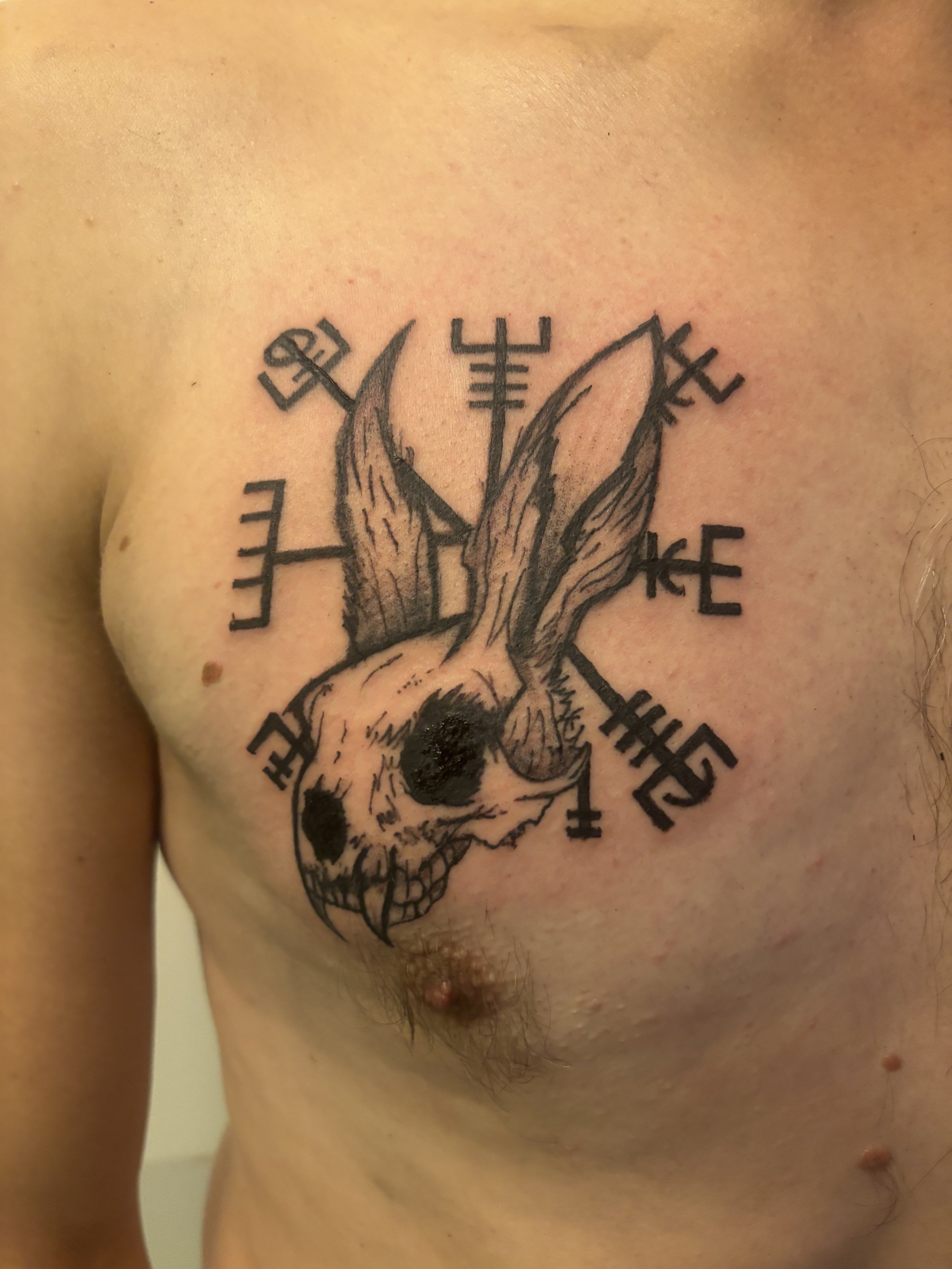 Dark Gothic Nordic Rabbit Skull