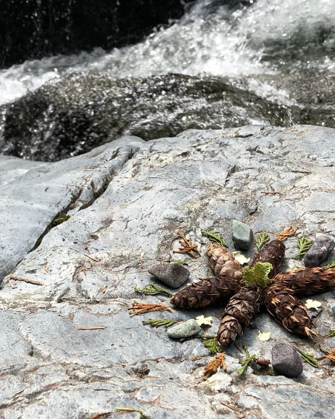 &ldquo;forest mandala,&rdquo; found objects
anonymous
Pride in Numbers Community Art Project

&ldquo;One of the best things about living in Oregon is how easy it is to access nature, go to the woods, sit by a river, breathe clean air. There&rsquo;s a