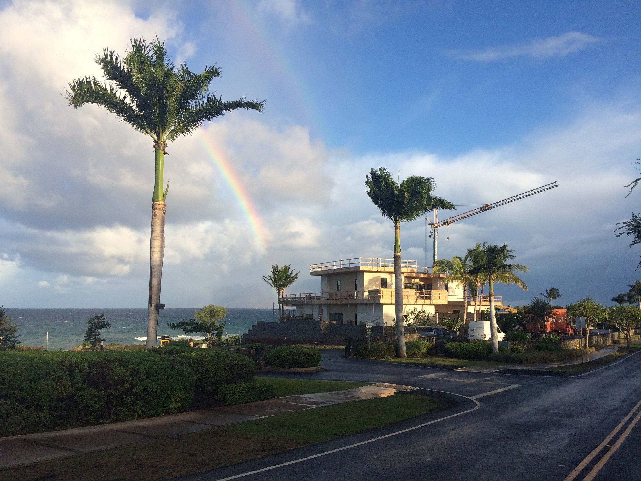 Beachside scene with palm trees, an ocean, overcast sky, moving construction crane, building under construction, and a rainbow in the sky.
