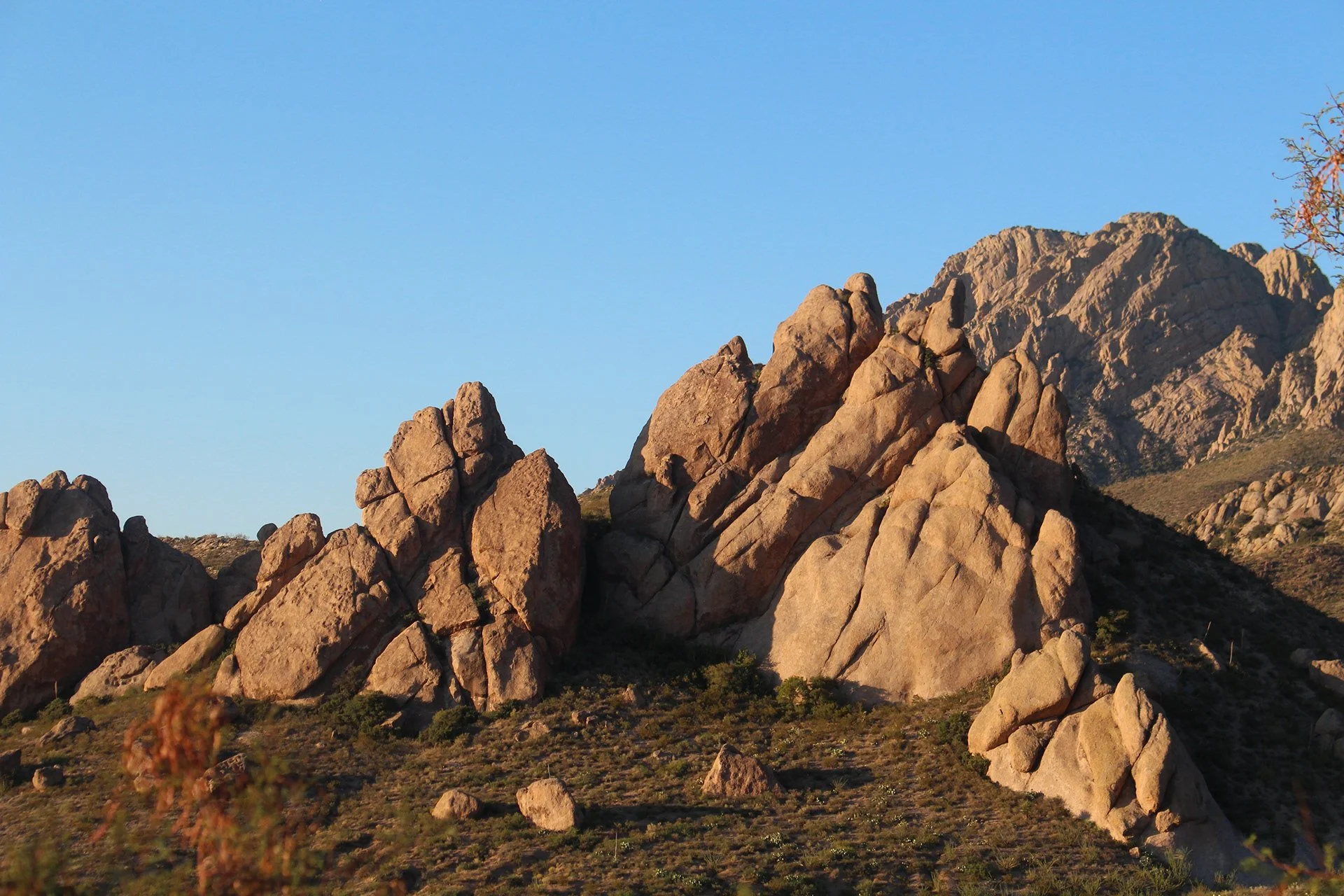 Organ Mountains