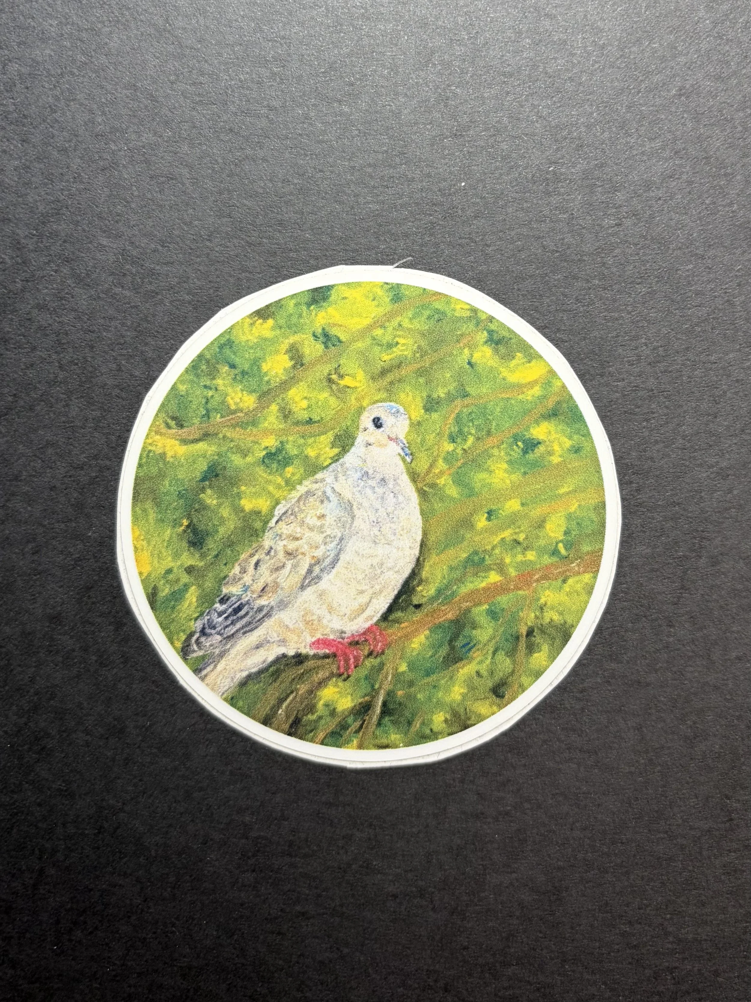 Little Dove - STICKER