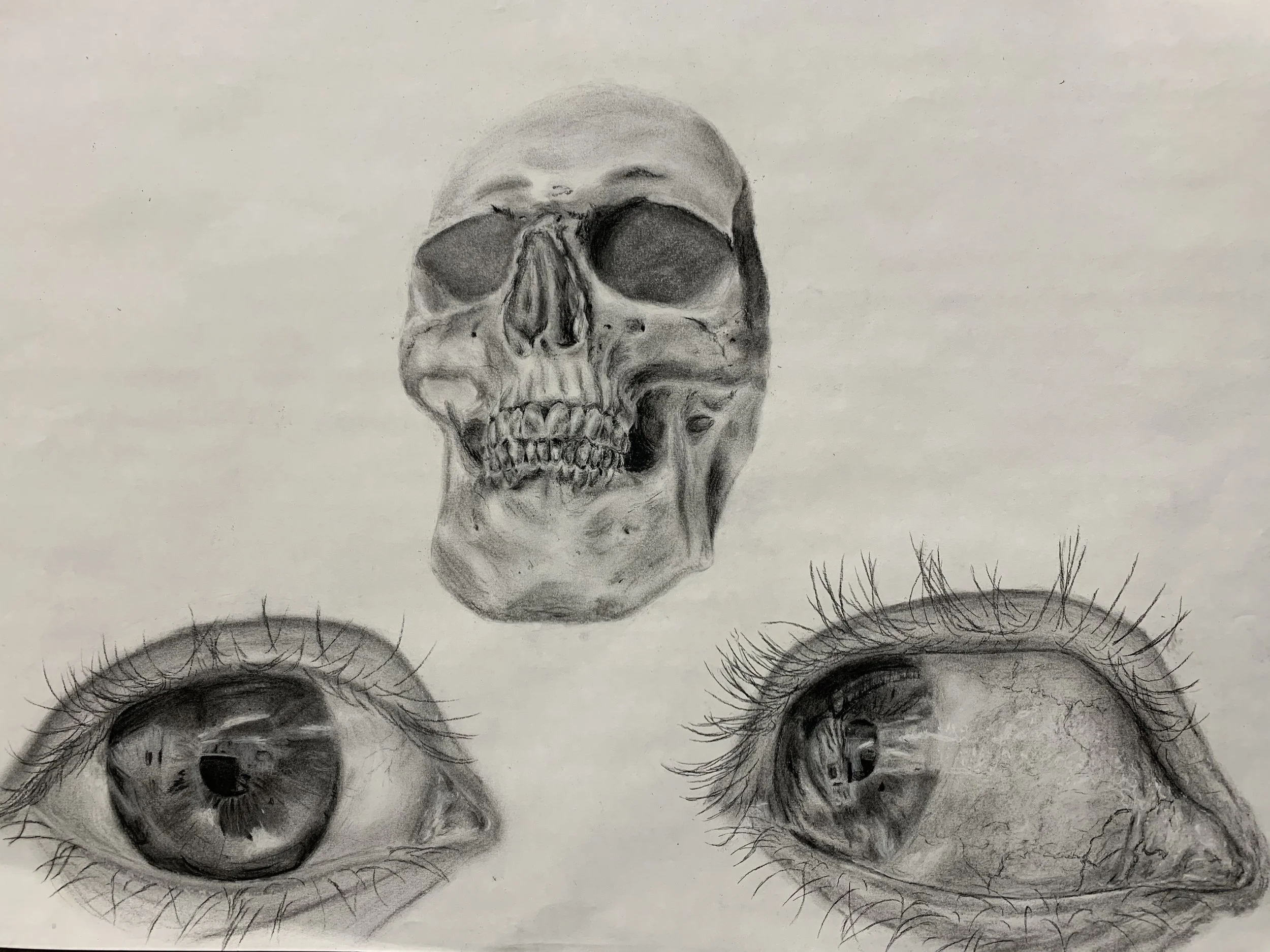 Skull and Eyes Study