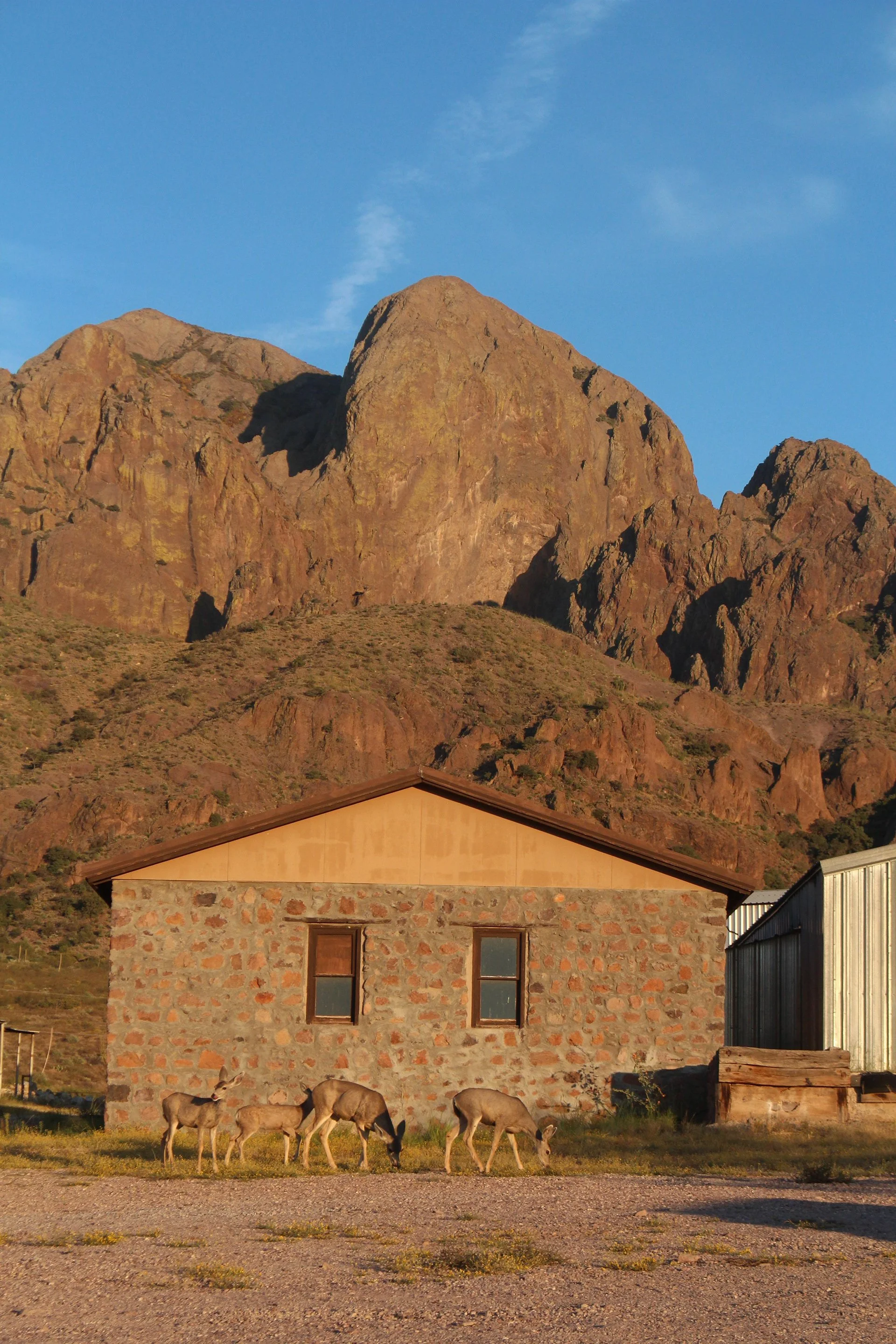 Welcome to Deerhouse