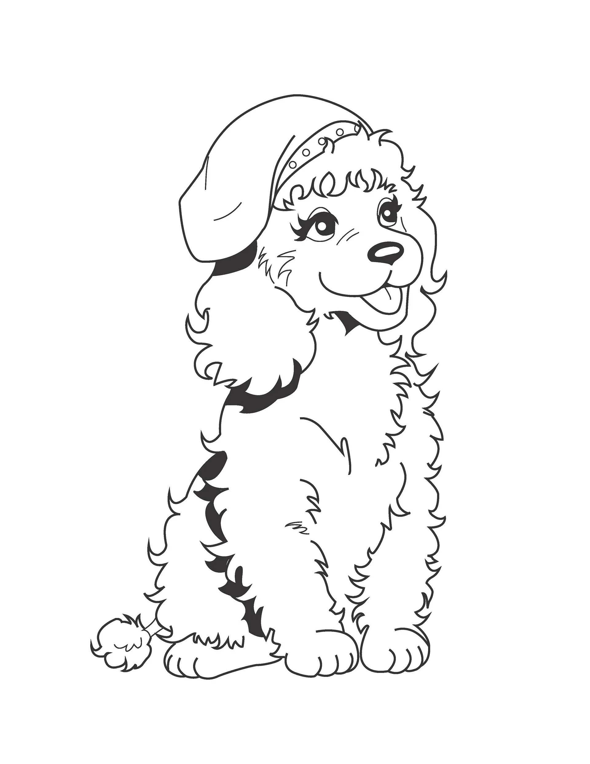 Poodle