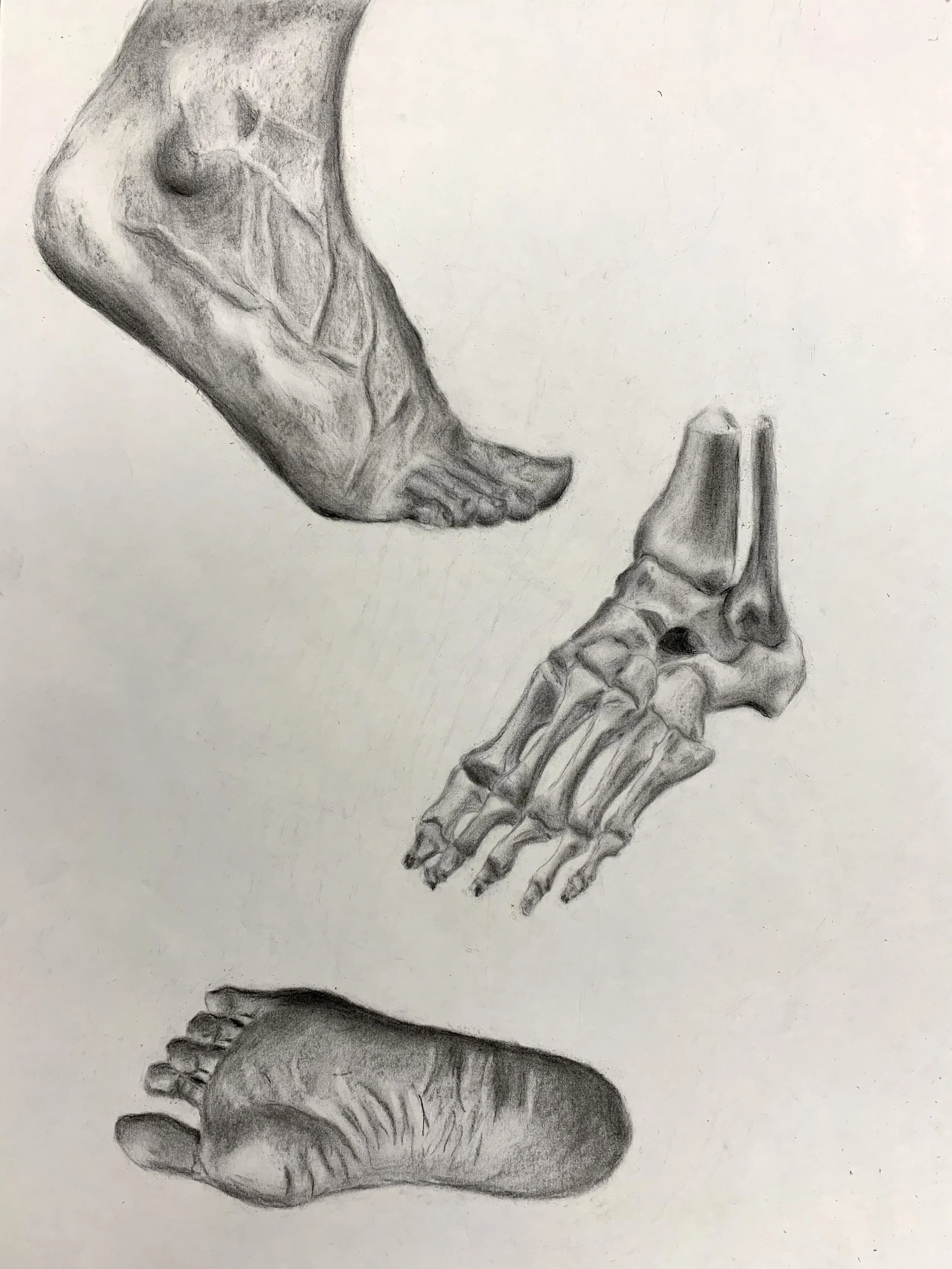 Foot Study