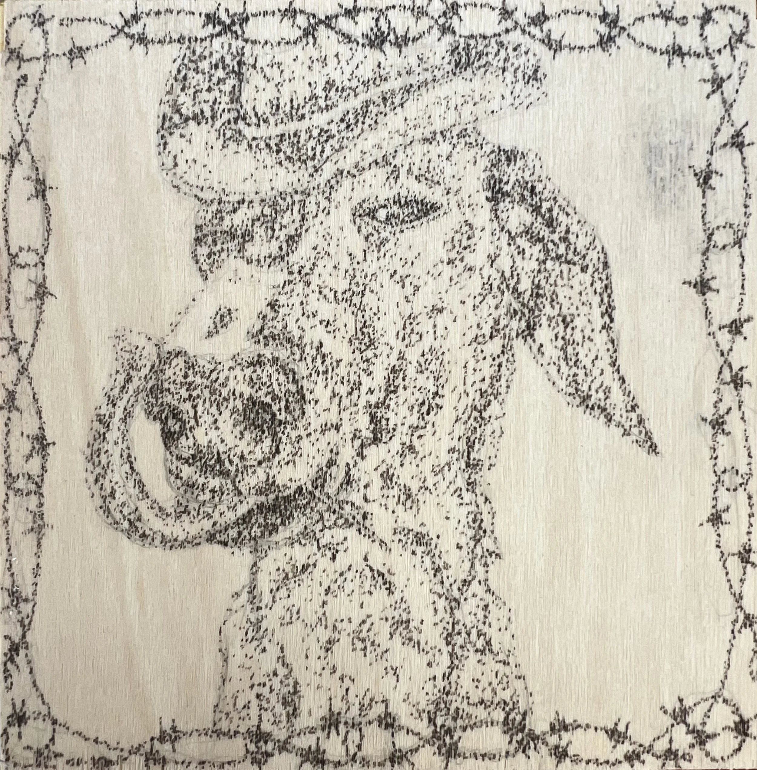 Airin' the Lungs - PRINT