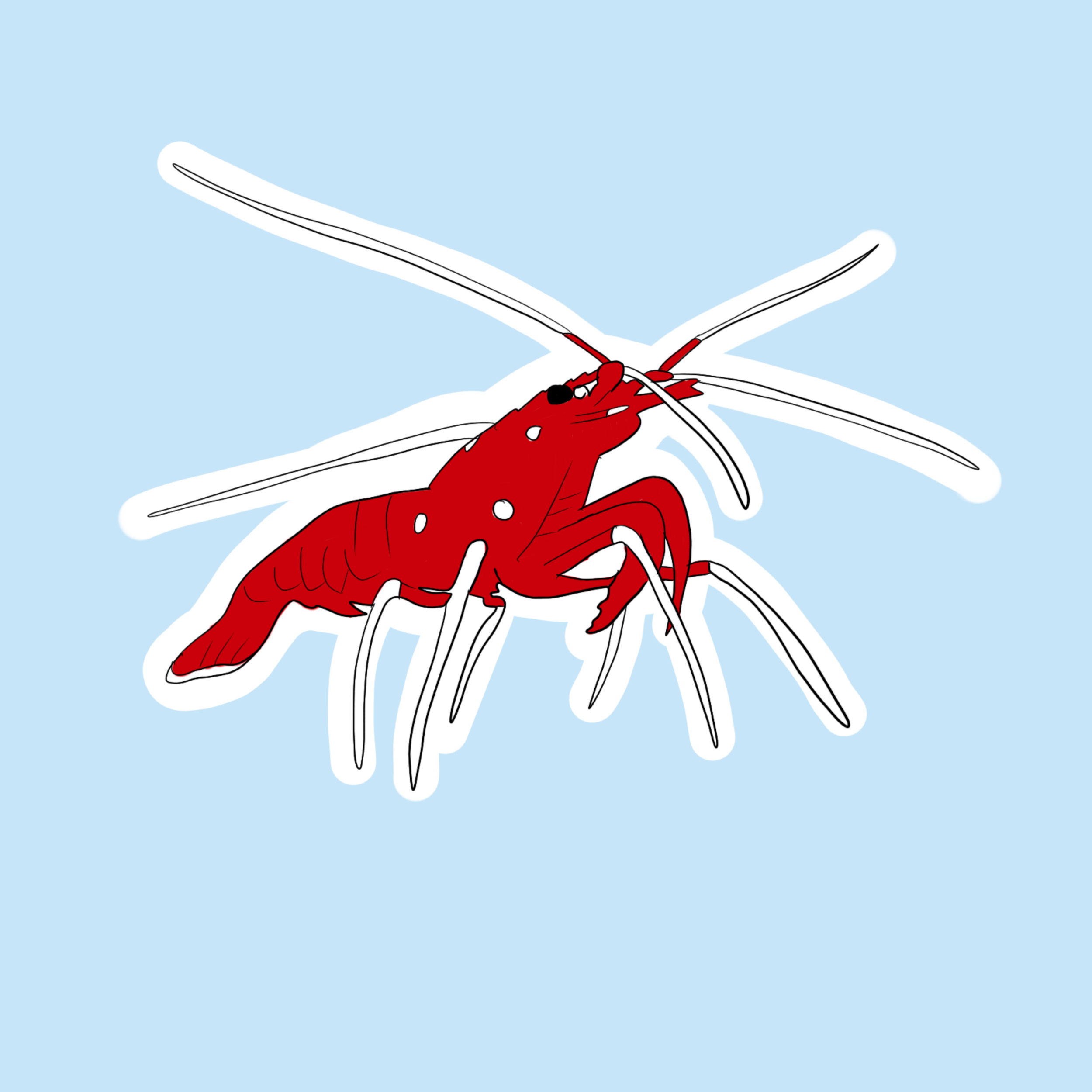 Cleaner Shrimp Sticker
