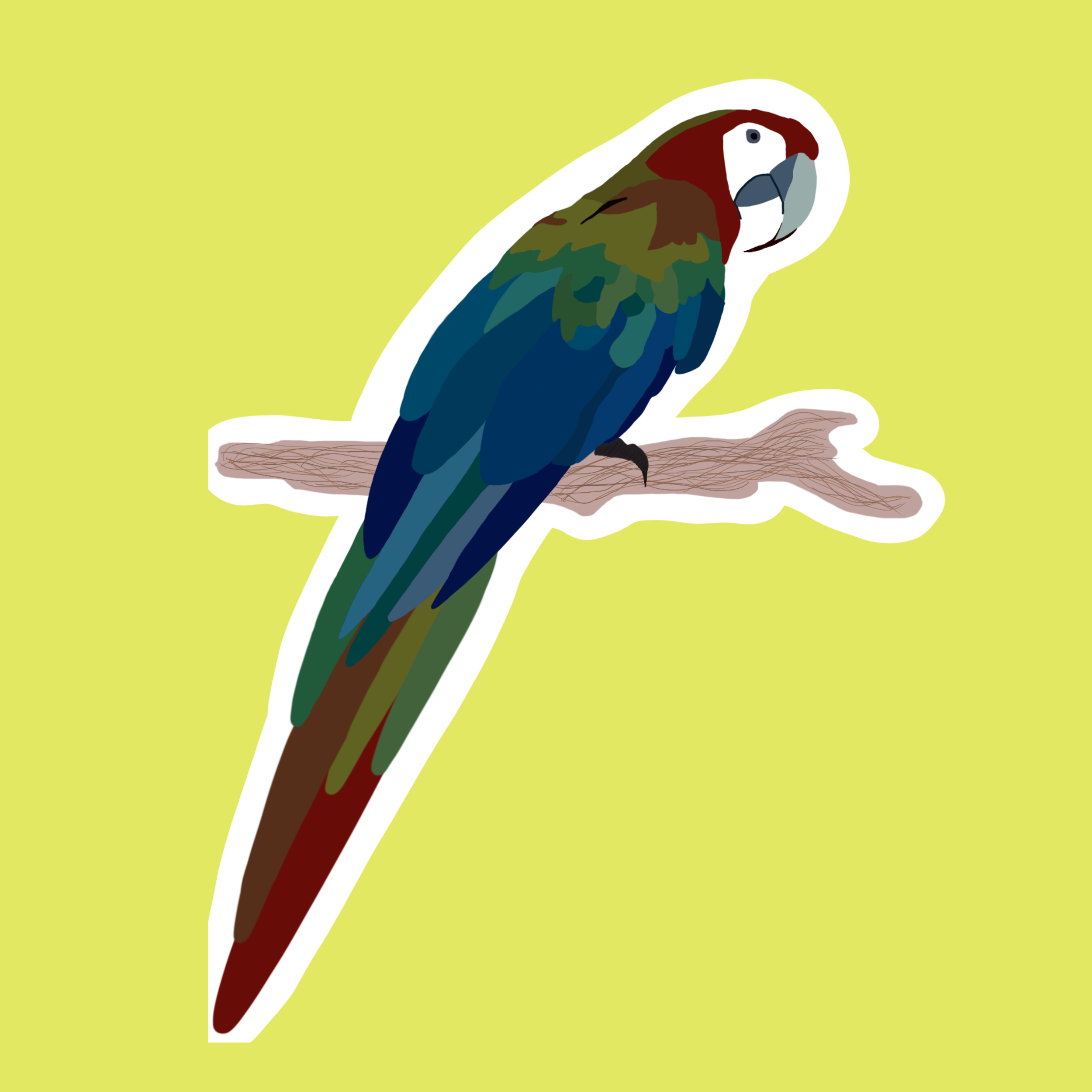 Ruby Macaw Sticker- Redd