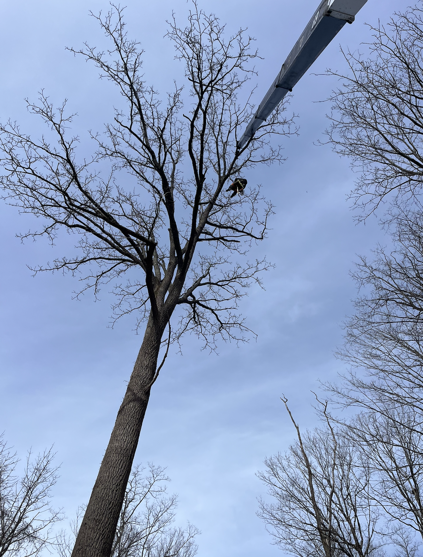 Screenshot 2026-04-02 at 11.26.04 AM.png