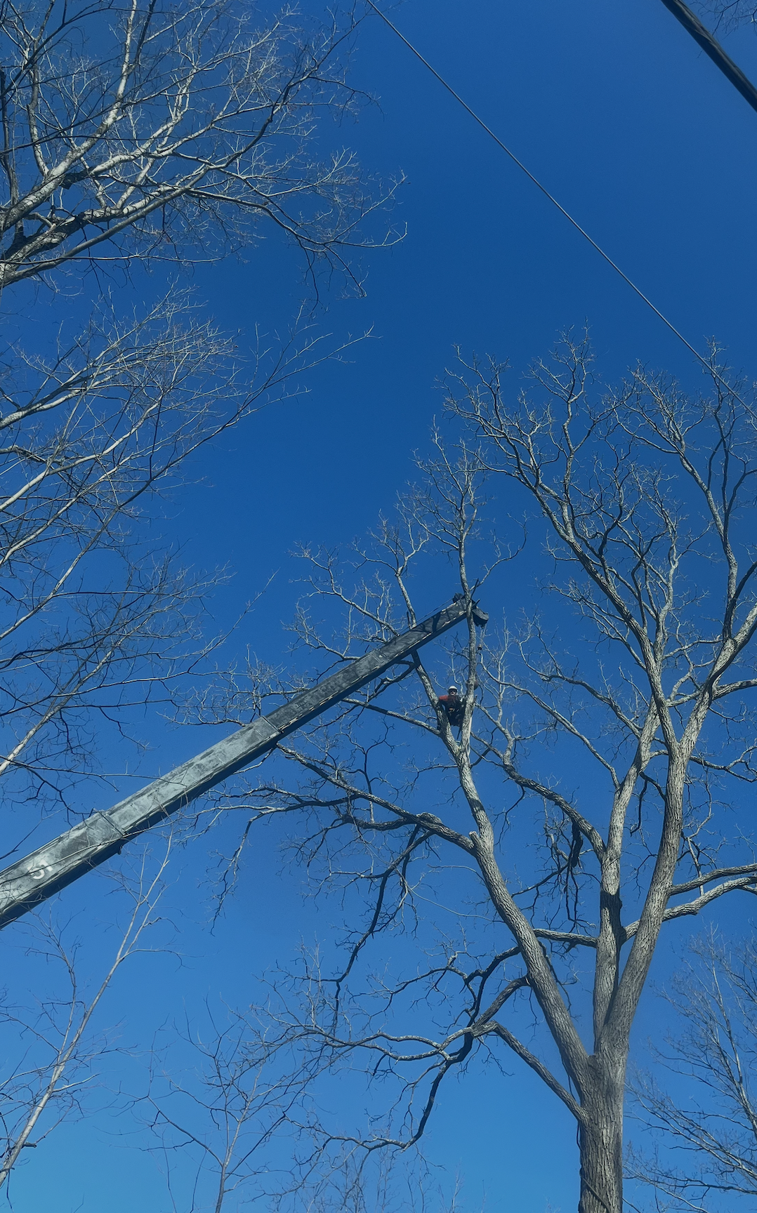 Screenshot 2026-04-02 at 11.25.17 AM.png