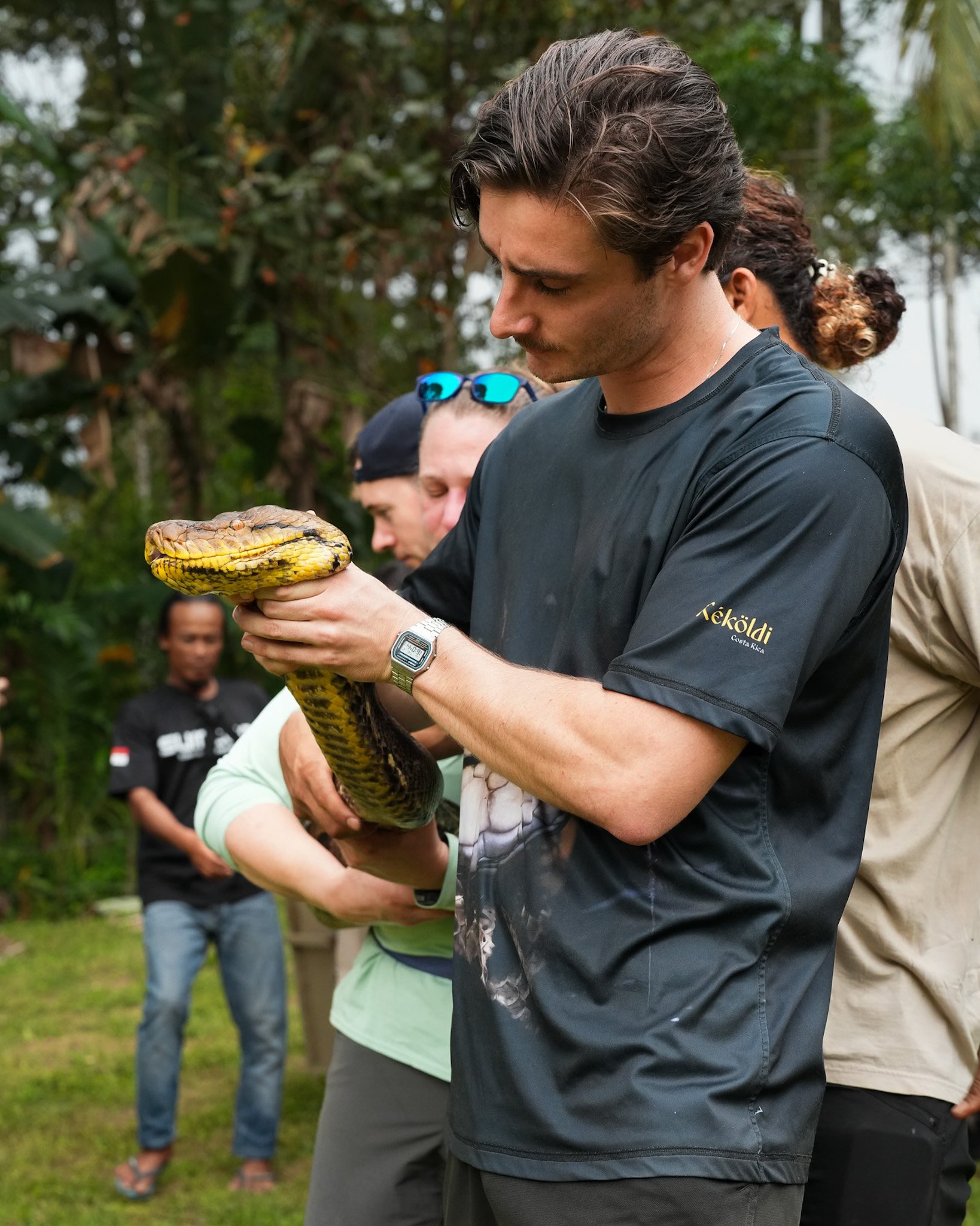 Steijn Pulles assisting in the relocation of a six meter long Reticulated Python on a herping tour