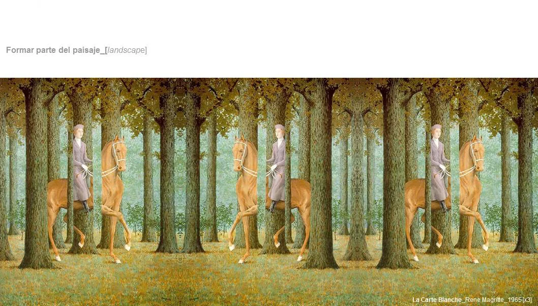 02 PROCESO CABAÑA DE LAS CHIMENEAS DE LUZ.JPG