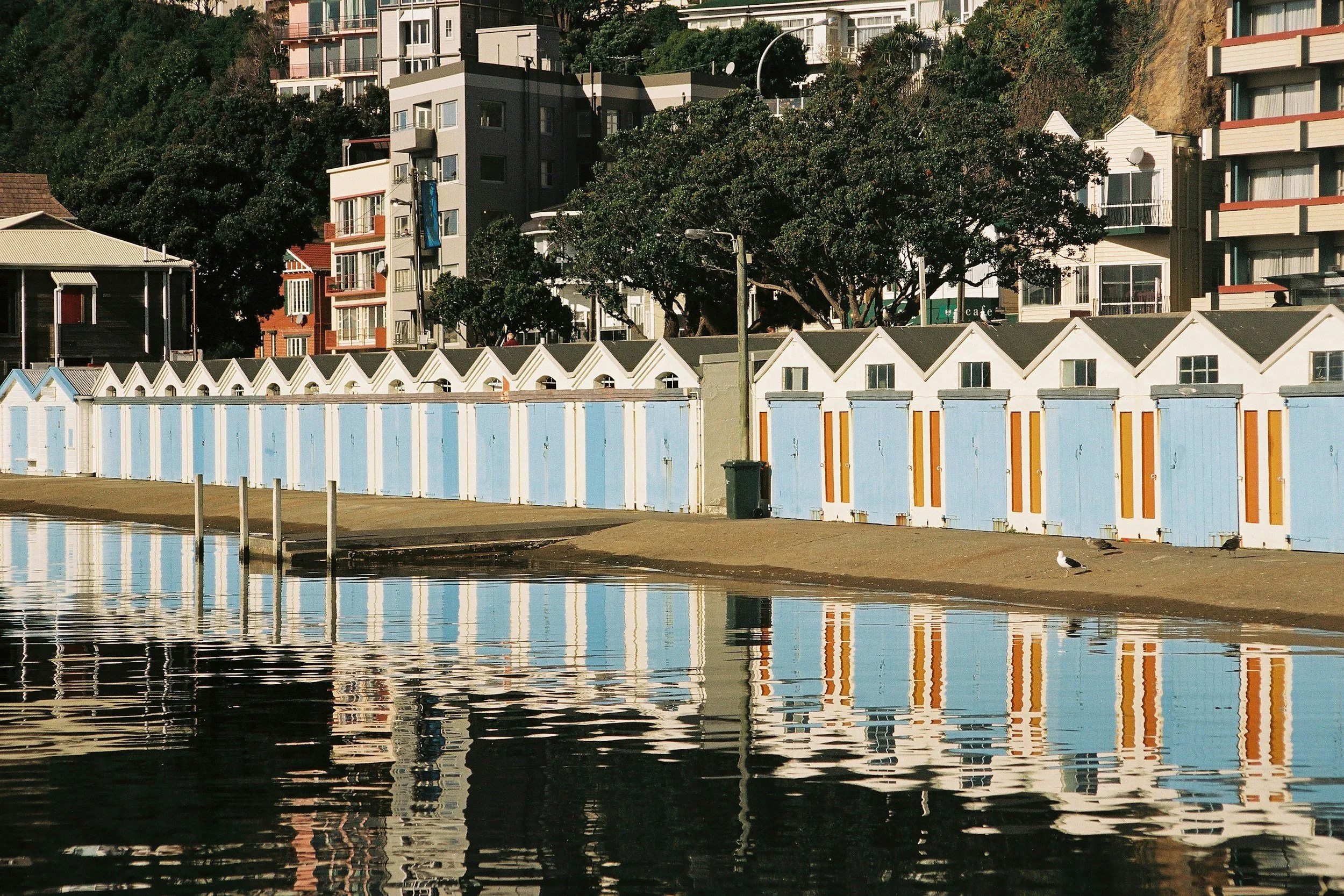 Beachside row of light blue beach huts with white roofs, reflected in calm water, with some seagulls on the sandy shore and multi-story residential buildings behind trees in the background.
