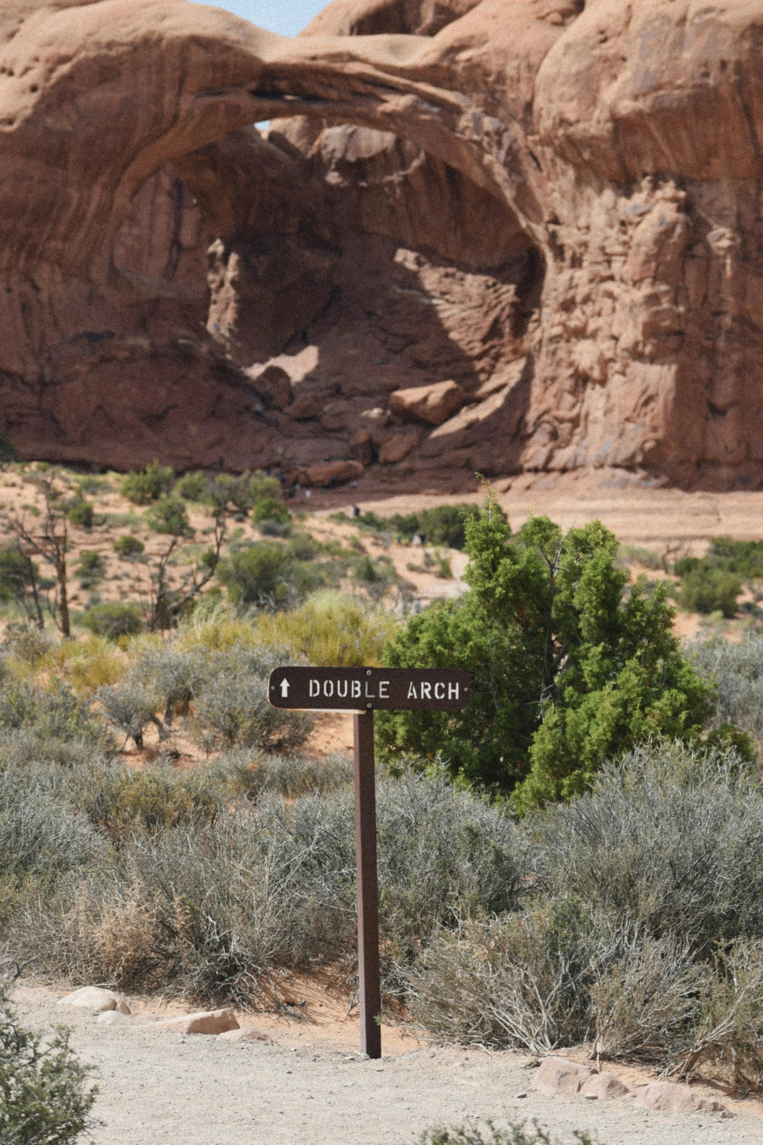 Rooted While Roaming: The Art of Creating Inner Stability in a Life of Movement
