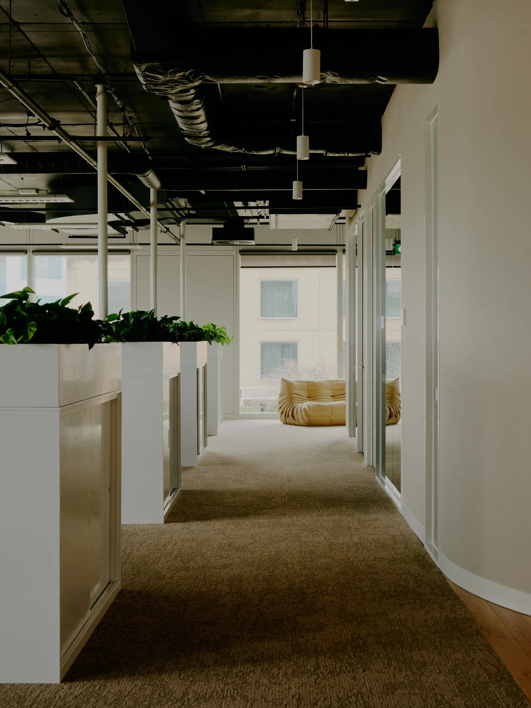 Modern office hallway with plants, a large window, and a beige cushioned chair in the background.