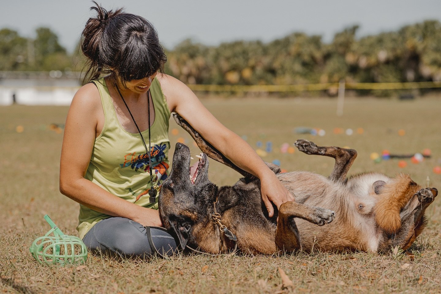 Never forget your WHY when continuing on in your training journey with your dog. Training will always have its ups, downs, and is never a straight line in reaching your goals. But remembering why you started the journey in the first place will help y