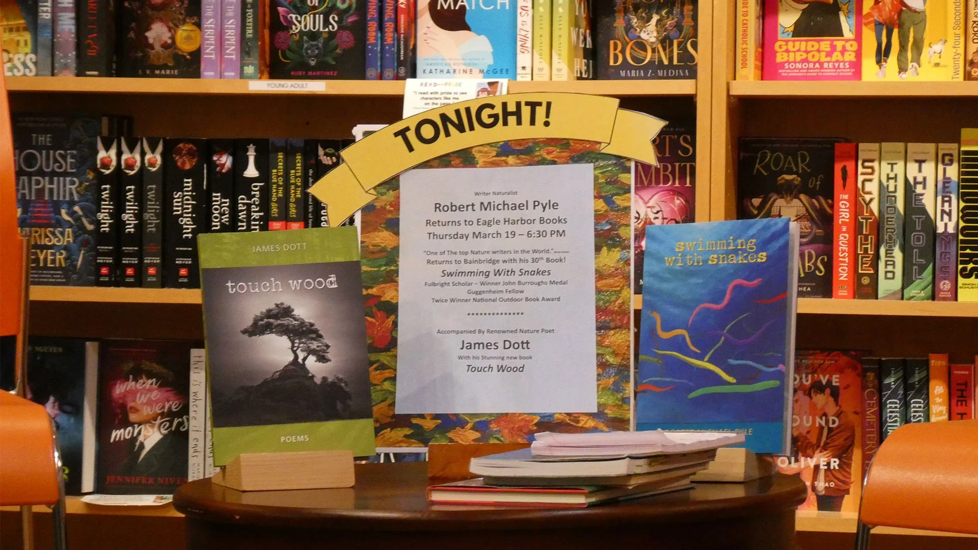 Eagle Harbor Books display table showing Swimming with Snakes and Touch Wood